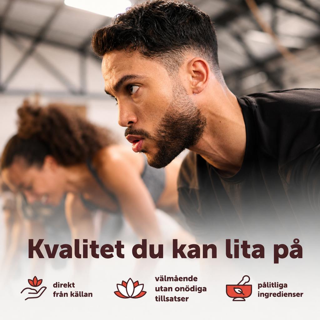 Kreatin Monohydrat 5000 mg – 500 Kapslar | 71 Portioner