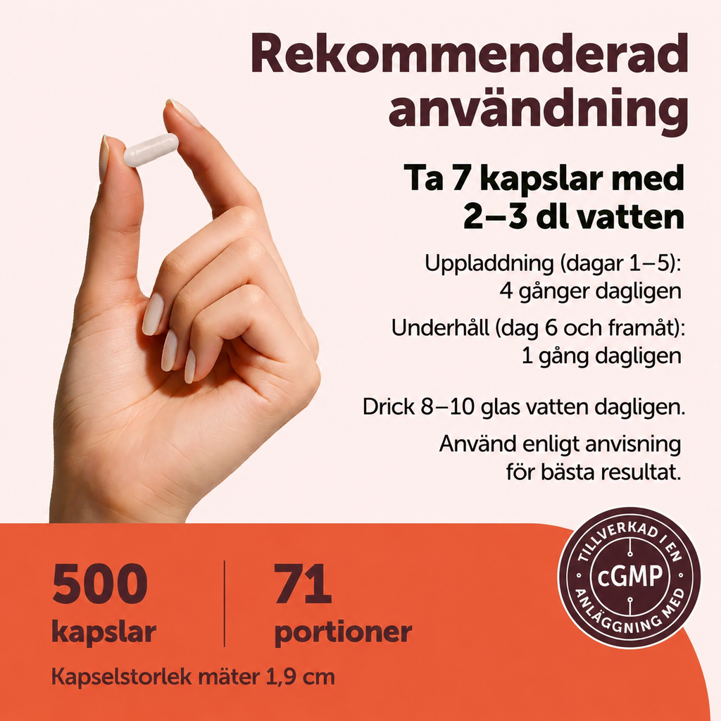 Kreatin Monohydrat 5000 mg – 500 Kapslar | 71 Portioner