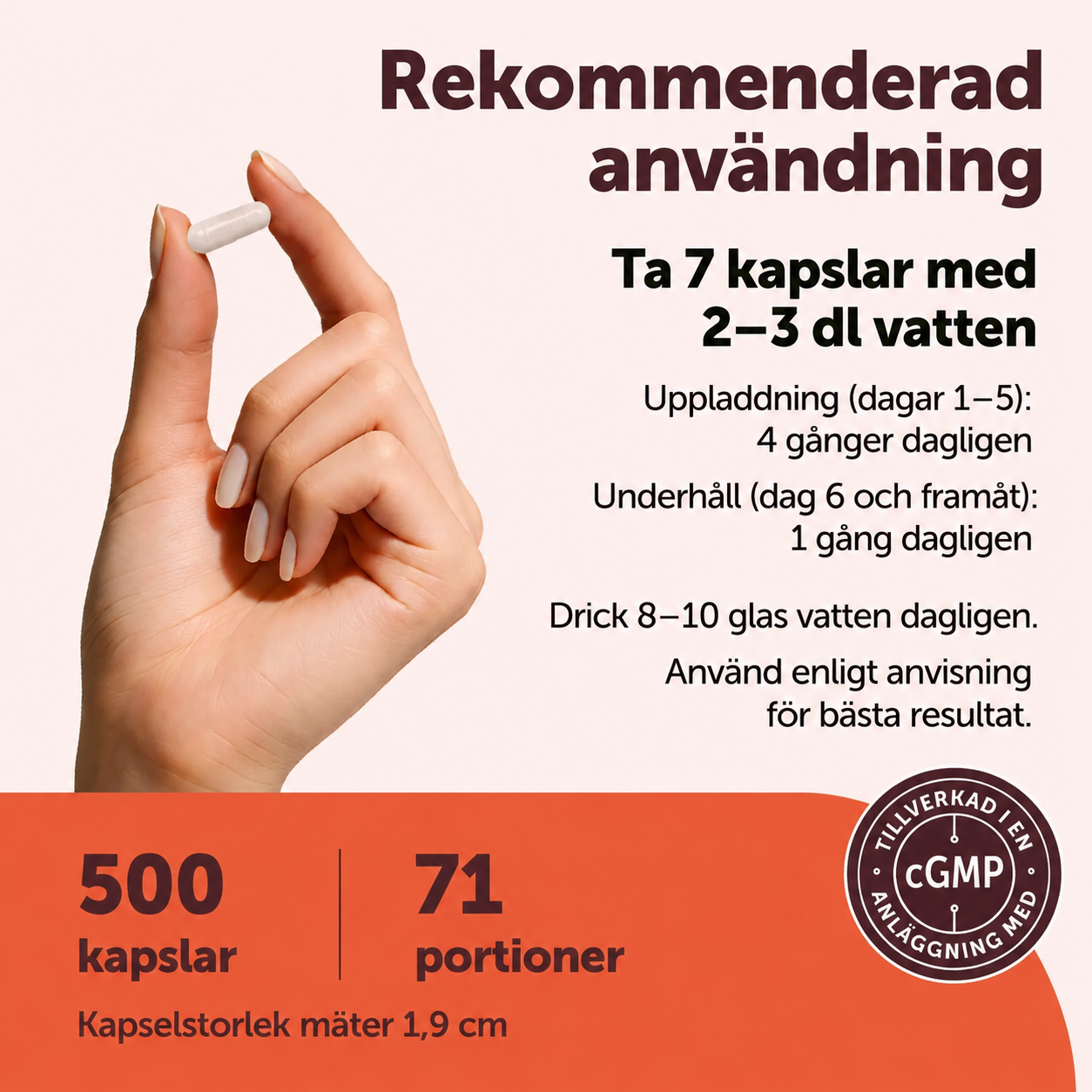 Kreatin Monohydrat 5000 mg – 500 Kapslar | 71 Portioner