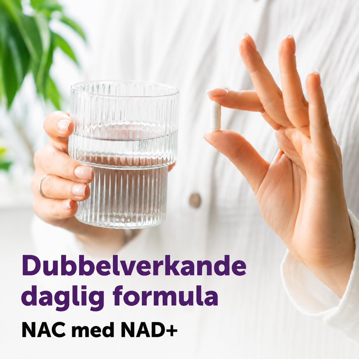 NAC med NAD+ – 600 mg per dagsdos, 240 vegetabiliska kapslar