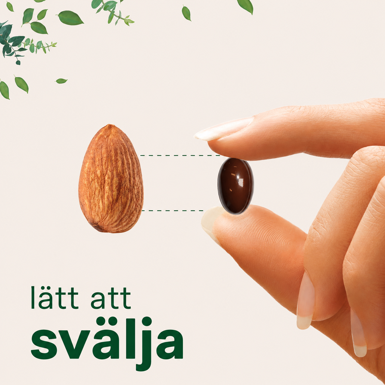 Ceylonkanel Extrakt 7 200 mg – 300 Mjukgelkapslar med MCT-olja