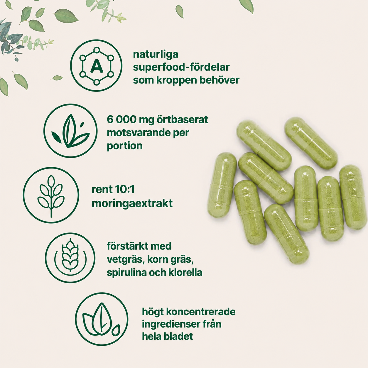 Moringa Oleifera 6000 mg – 300 Kapslar