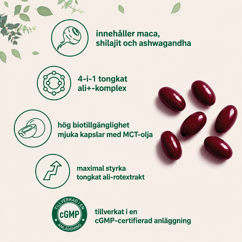 Tongkat Ali+ För Män – MCT-olja, Maca, Ashwagandha & Shilajit | 240 Softgels
