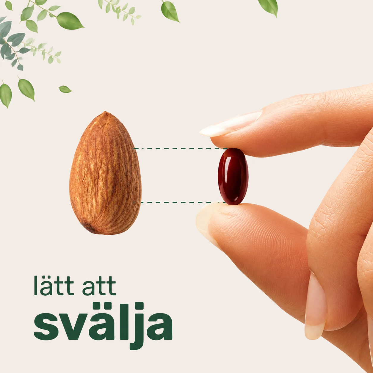 Tongkat Ali+ För Män – MCT-olja, Maca, Ashwagandha & Shilajit | 240 Softgels