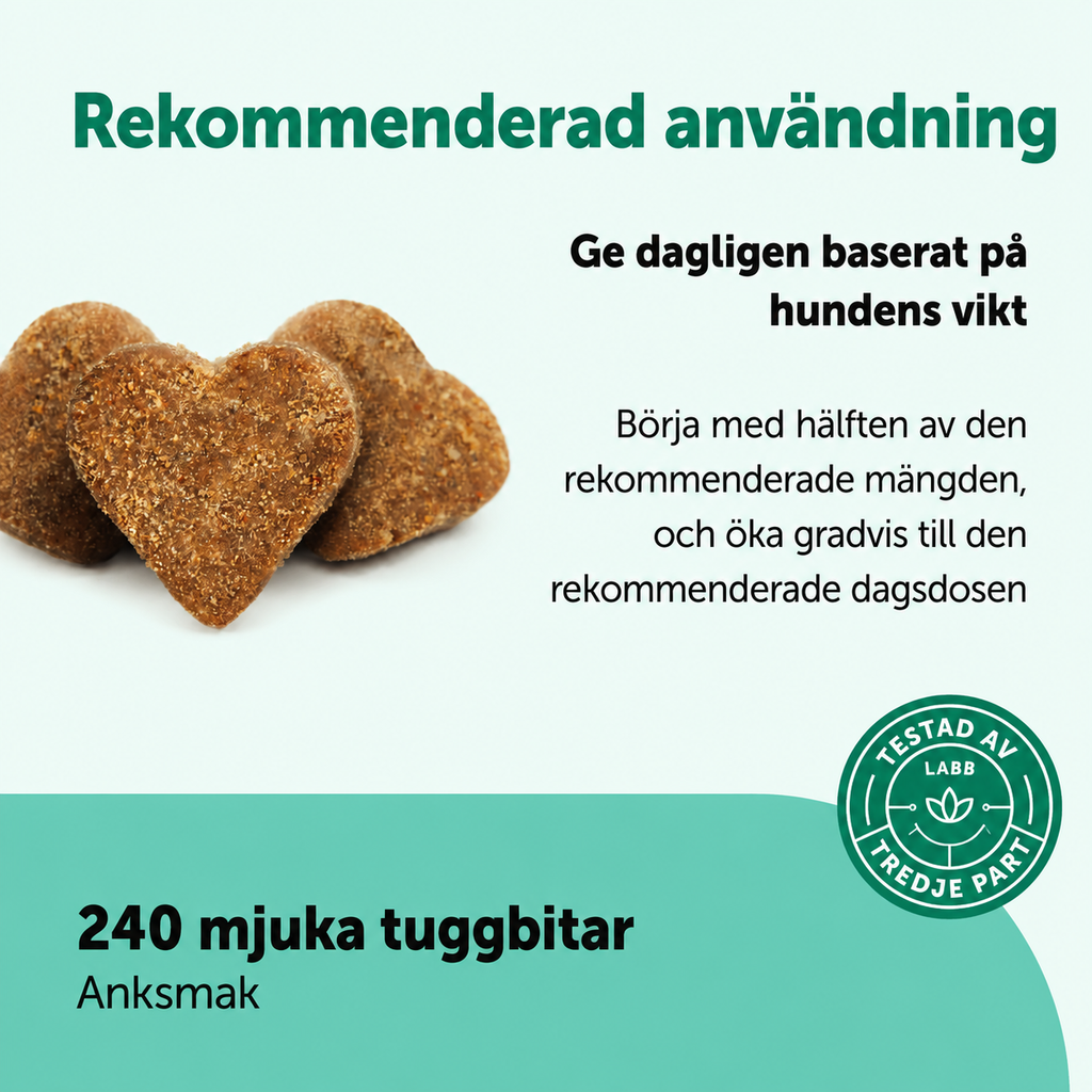 Probiotiskt Kosttillskott för Hundar – 6 Miljarder CFU med Anksmak, 240 Mjuka Tuggbitar