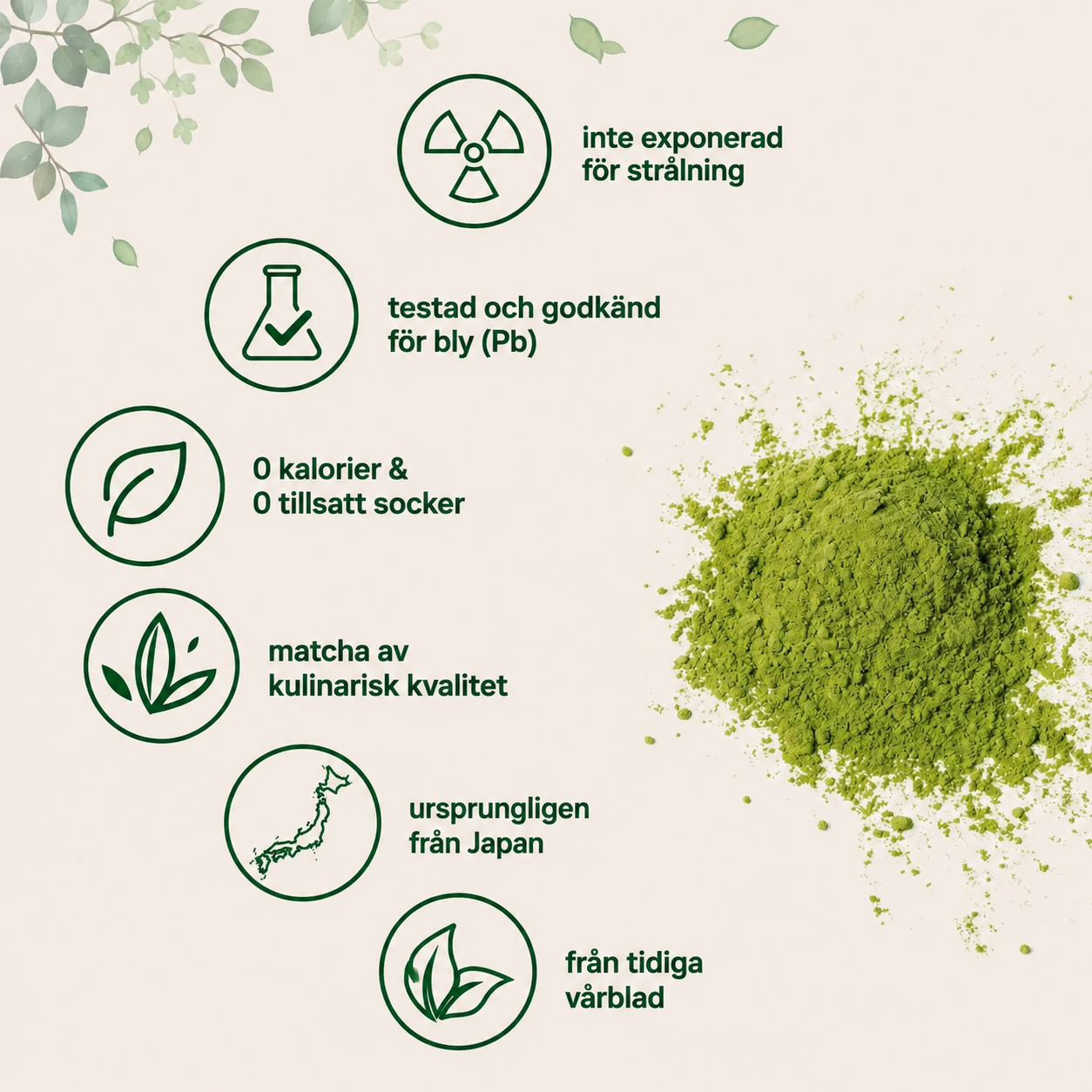 Ekologisk Matcha Grönt Te Pulver – 907 g