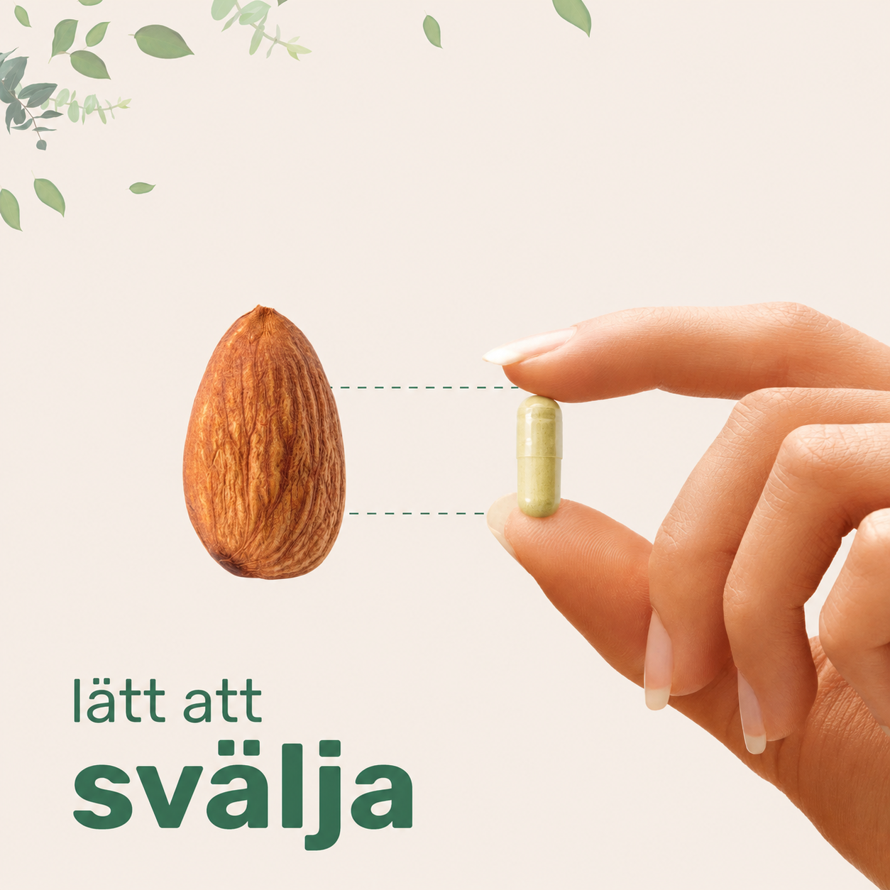 Maca 5000 mg – 240 Veganska Kapslar | Ashwagandha, Ginseng & Tongkat Ali