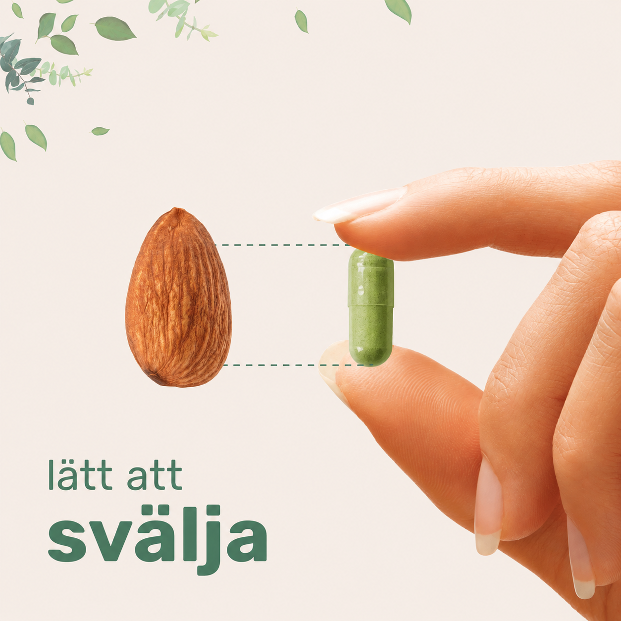 Moringa Oleifera 6000 mg – 300 Kapslar