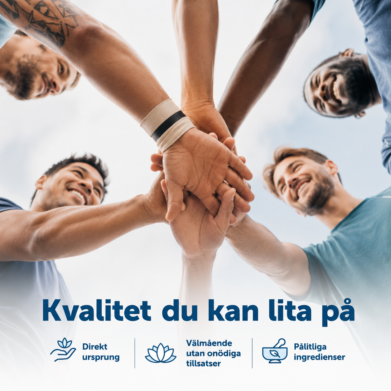 Zink Complex 11-i-1 för Män – 240 Kapslar