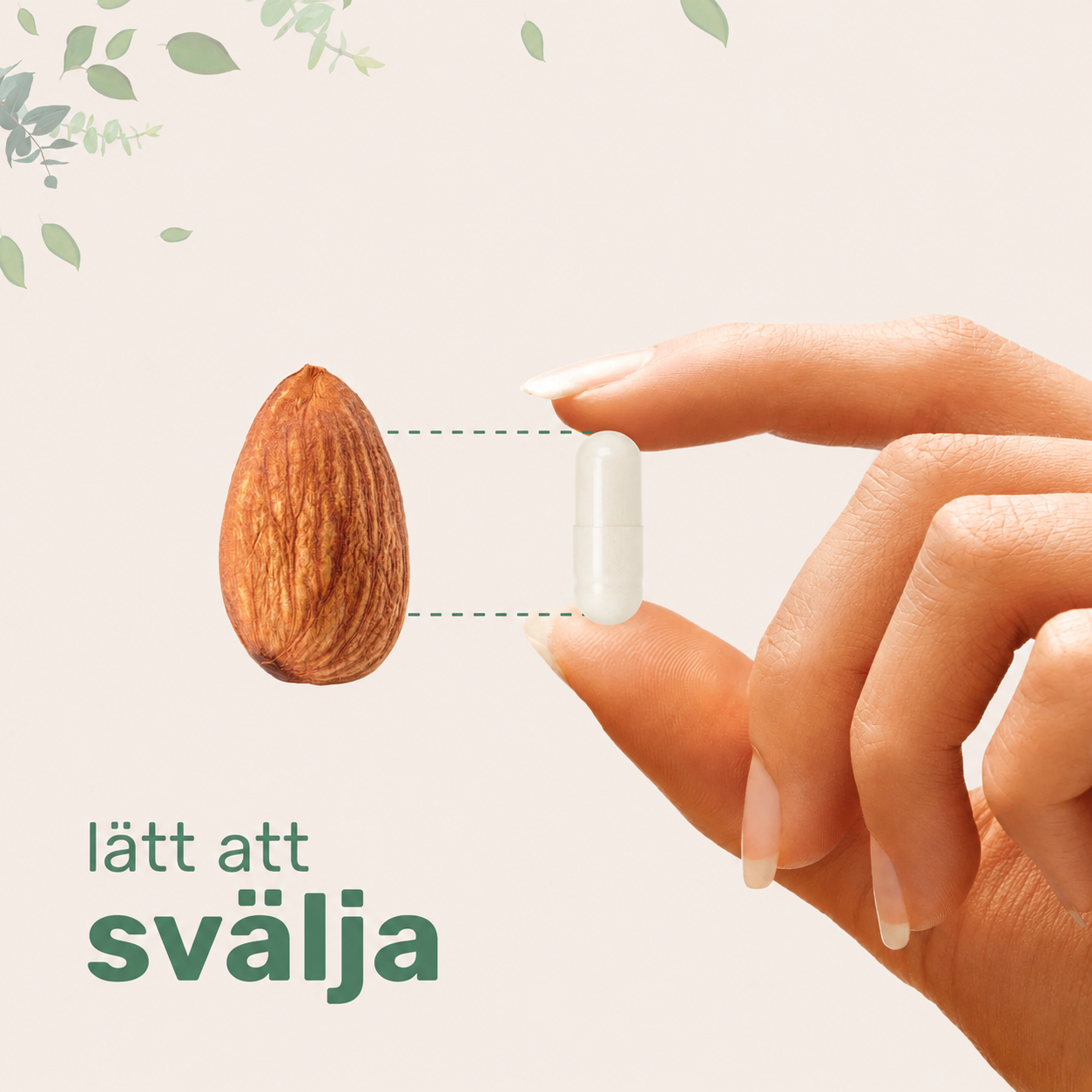 NAC med NAD+ 1200 mg – 240 vegetabiliska kapslar
