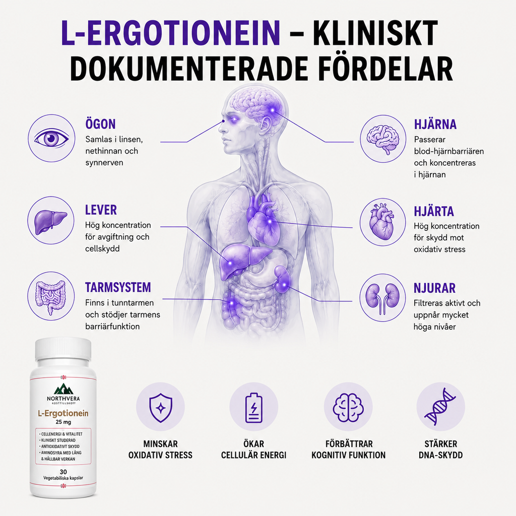 L-Ergothioneine - hjärnan, ögonen, levern, njurarna, hjärtat, benmärgen och nervsystemet