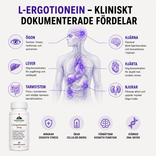 CELLEBESKYTTELSE - L-Ergothionein - hjerne, øjne, lever, nyrer,, hjerte, knoglemarv og nervesystem