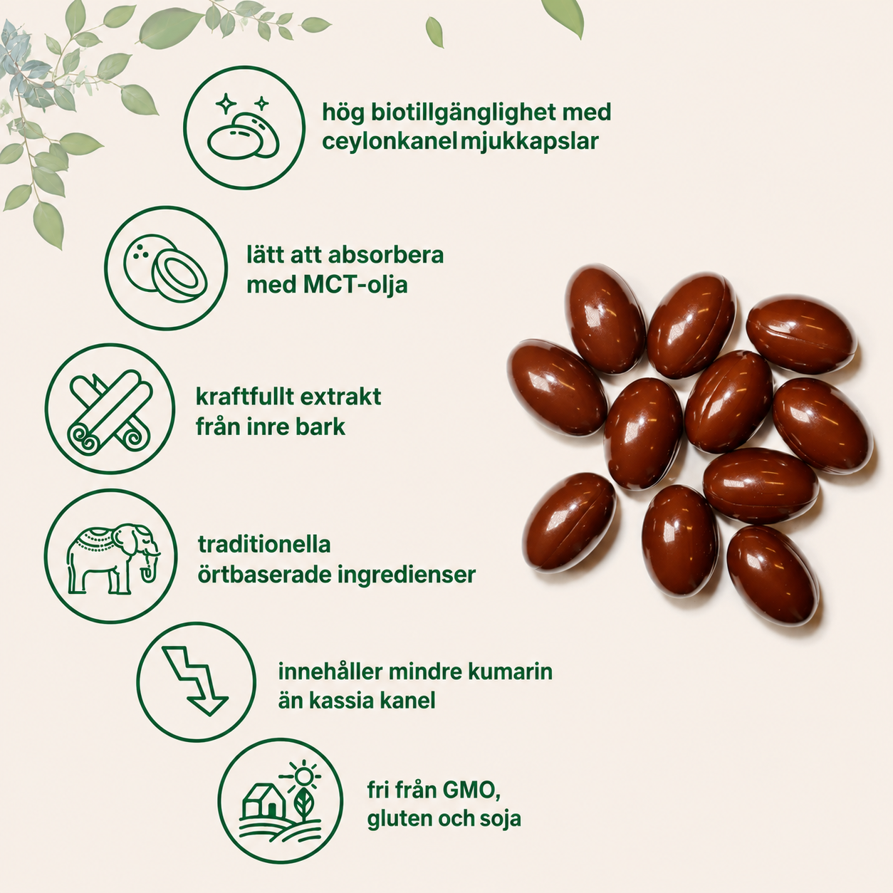 Ceylonkanel Extrakt 7 200 mg – 300 Mjukgelkapslar med MCT-olja